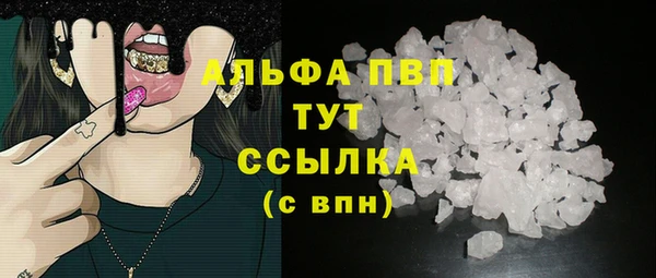 индика Абаза