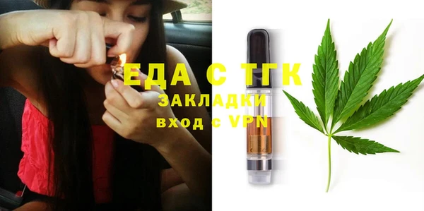 индика Абаза