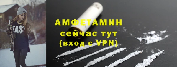 индика Абаза