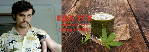 индика Абаза