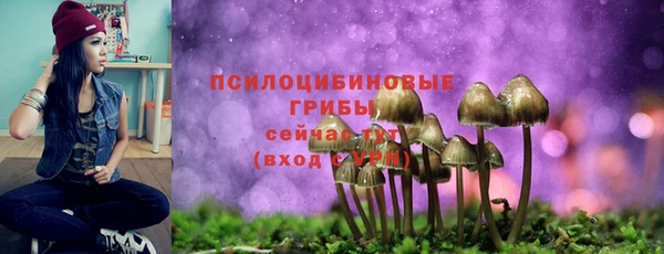 эйфоретик Абинск